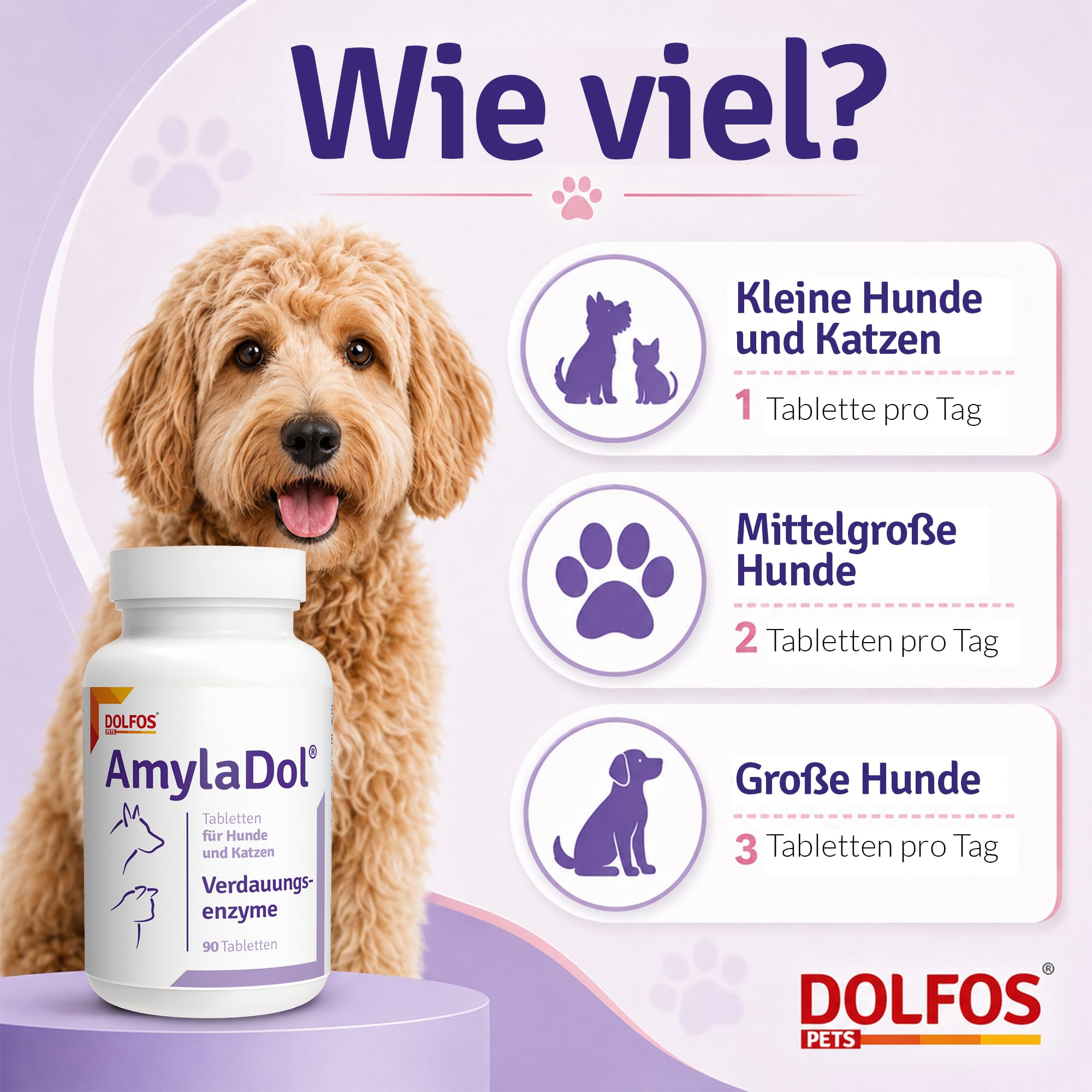 AmylaDol Verdauung Hund 90 Tabletten, Natürliche Verdauungsenzyme einschließlich Amylase, Lipase und Protease. Diätetisches Nahrungsergänzungsmittel bei Verdauungsstörungen bei Hund und Katze