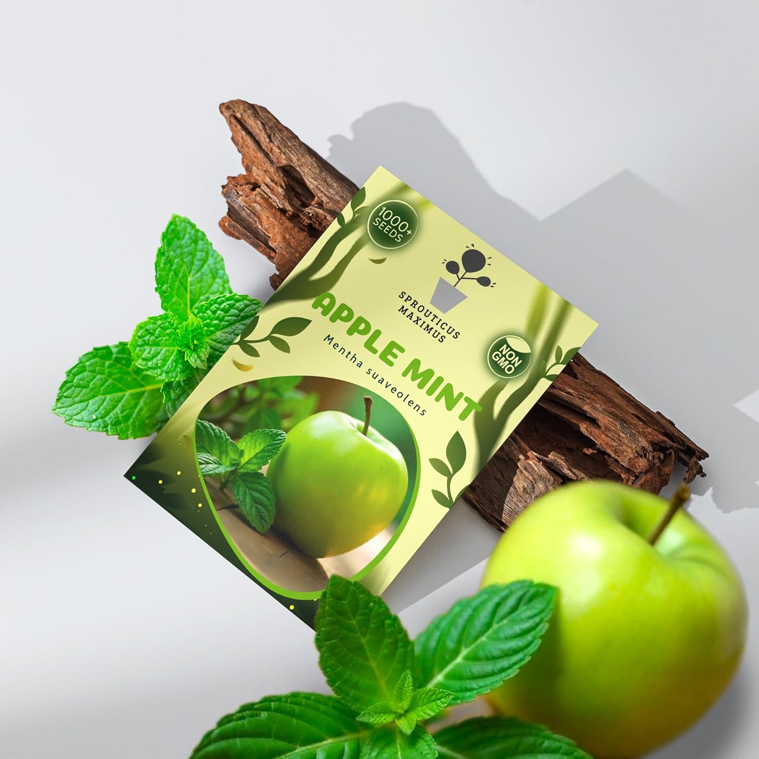 Seeds Apple Mint 1000+ Seeds to Grow Mentha Suaveolens Perennial Plant Indoor and Outdoor Growing