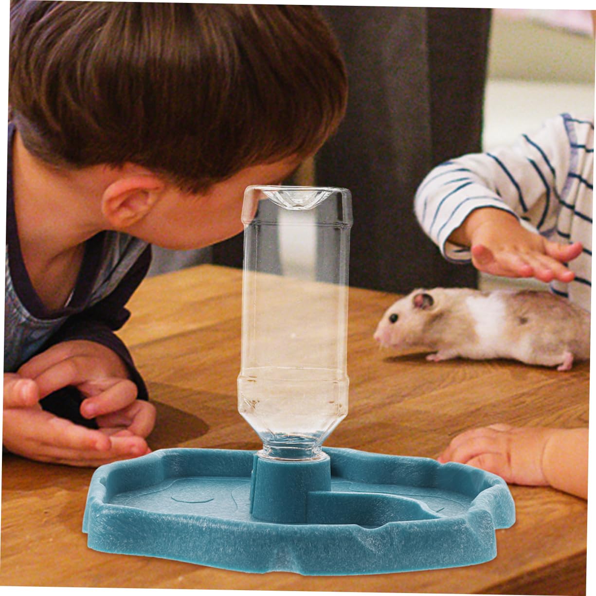 Distributore Automatico di Acqua Facile da Pulire per Rettili, Ciotola in ABS 2 Pezzi, per Tartarughe, Lucertole e Piccoli Animali | Abbeveratoio per Lucertole e Tartarughe, Vaschetta per Cibo e Acqua, Formato Doppio