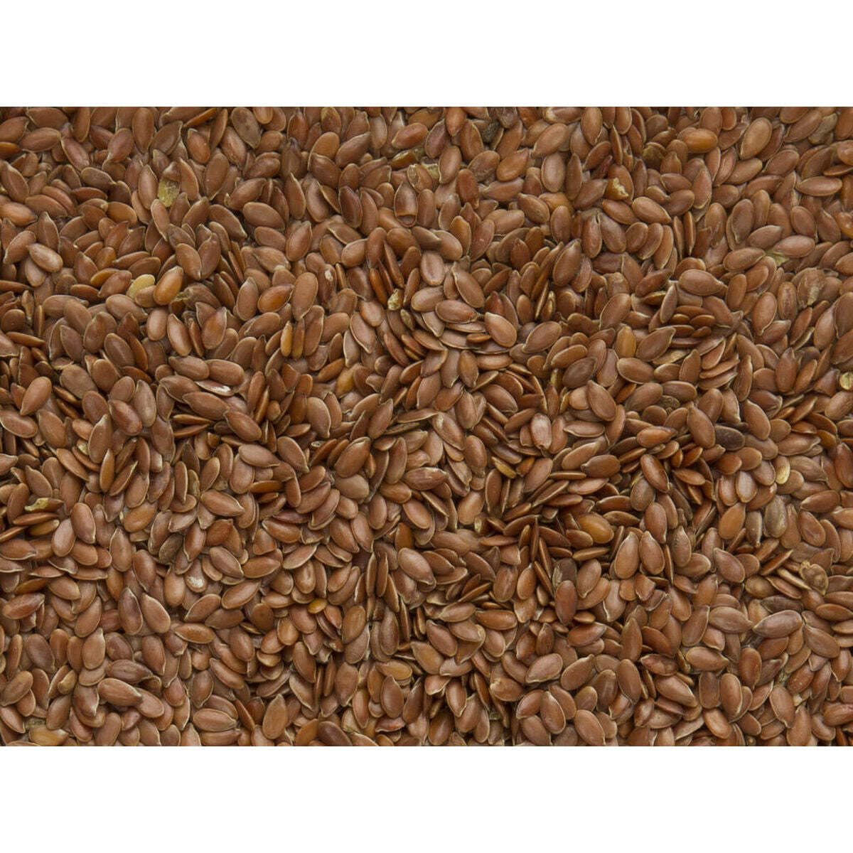 DELINATURE Semillas de Lino para Pájaros