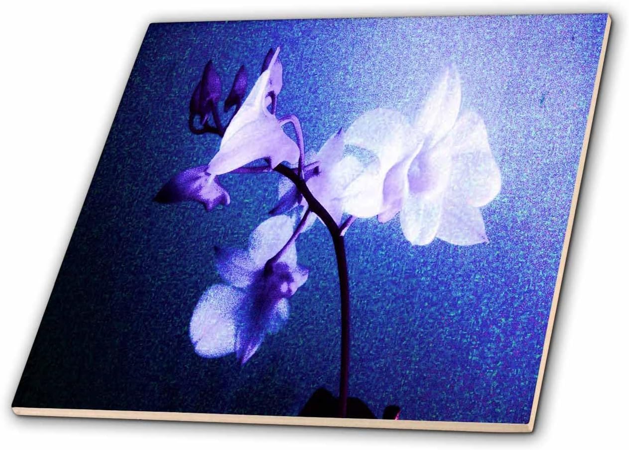 3dRose ct_9354_4 Blue Floral Haze Ceramic Tile, 12-Inch