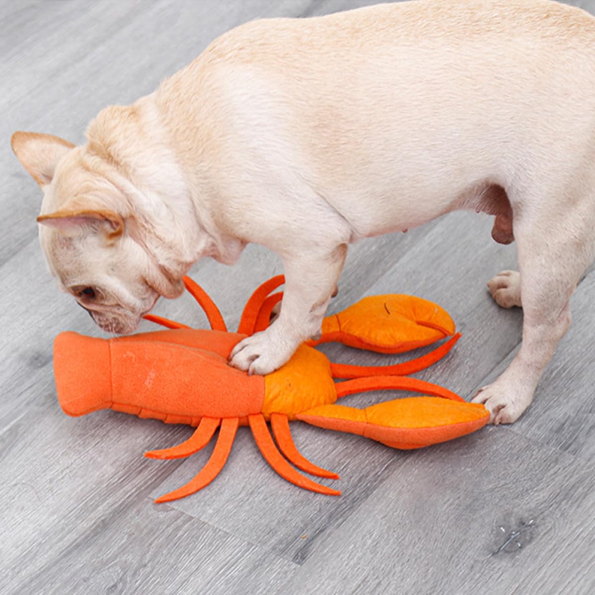 Kisangel 2stücke Pet Dog Molar Toy Cartoon Lobster Kauspielzeug Für Hunde Multifunktionales Futter Und Trainingsspielzeug Zur Langsamen Fütterung Und Stimulation Der Sinne
