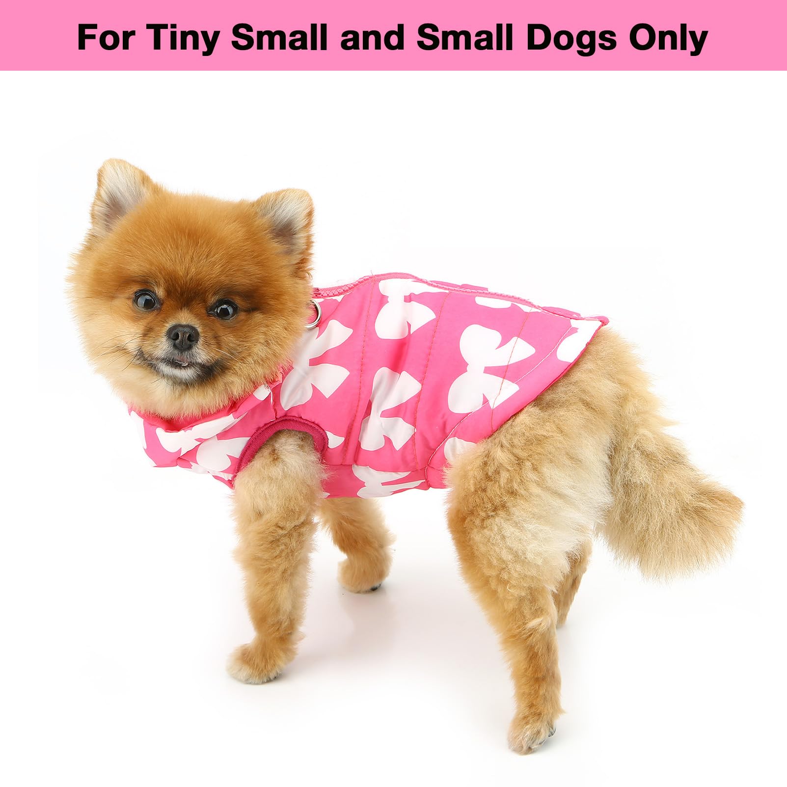 SMALLLEE_LUCKY_STORE Pet Water Resistant Winter Jacket Vest with D-ring for Small Dog Cat Zip-up Padded Puppy Coat Chihuahua Yorkie Kitten Warm Clothes - Image 3