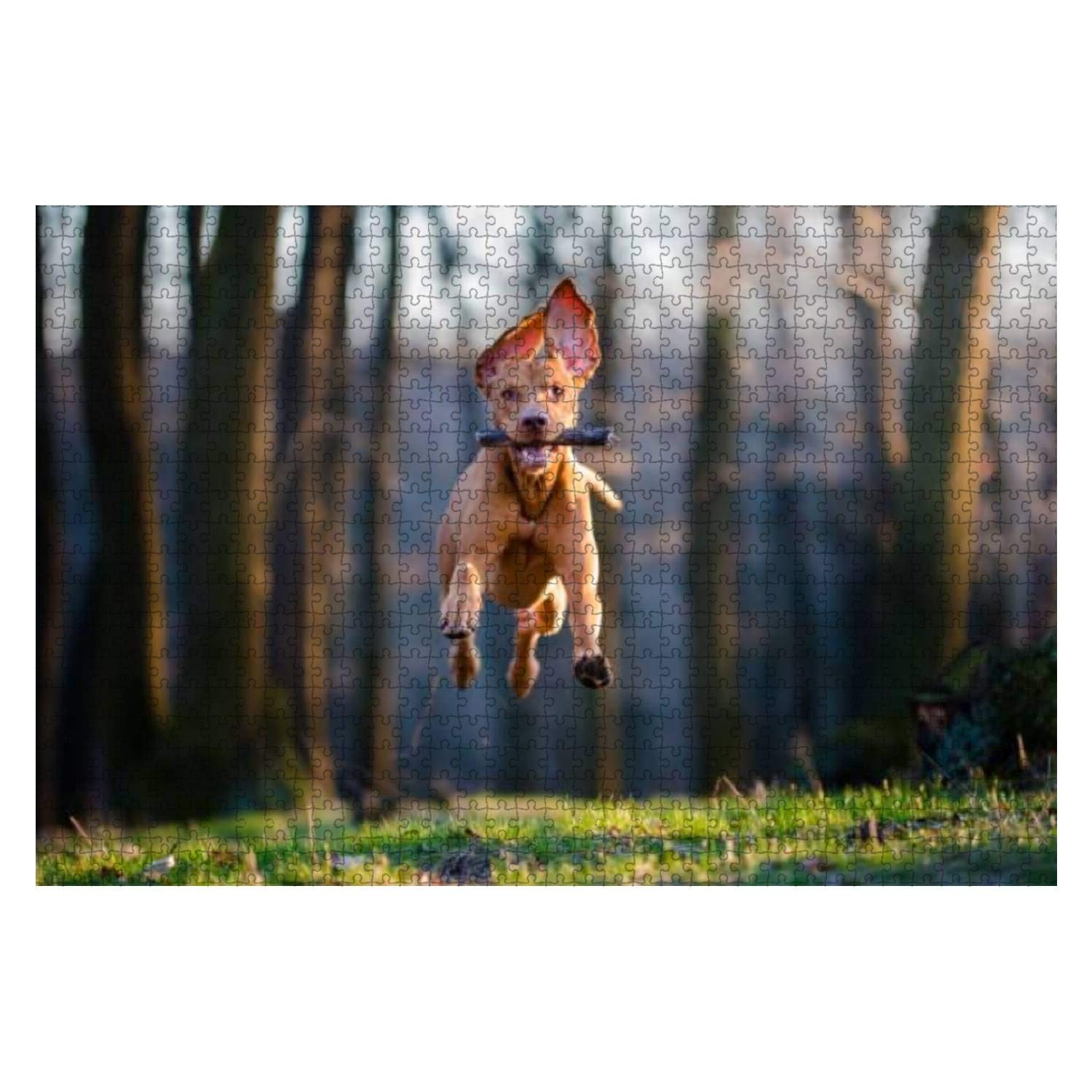 Hungarian pointer hound dog 1000 Pieces Wooden Jigsaw Puzzles for Adults Decompression DIY Children Educational Puzzles Creative Games Toys Gift Home Decor