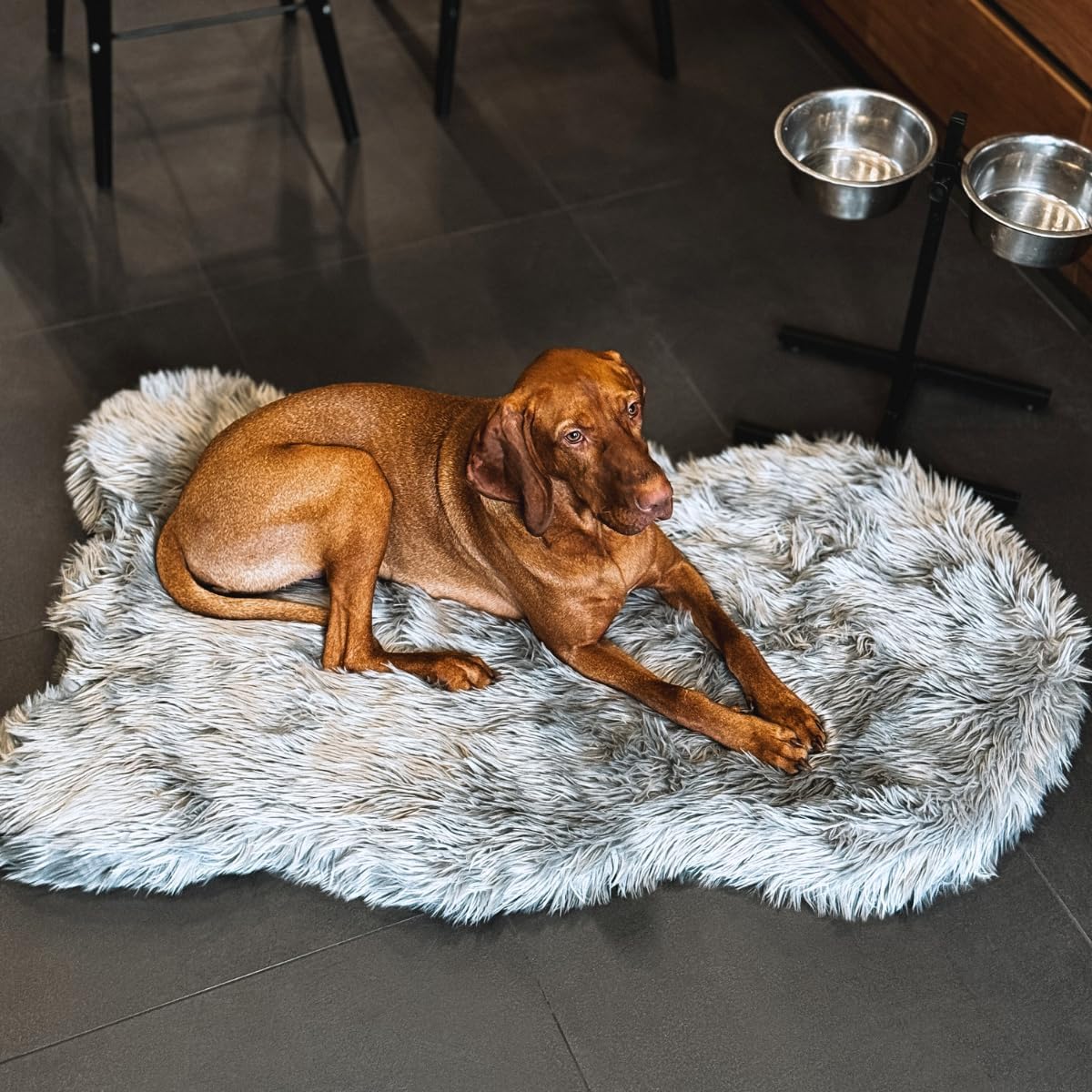 IHAPPYDOG Luxury Faux Fur Orthopedic Dog Bed, Memory Foam Dog Bed? for? Small, Medium, Large and XL Pets, Fluffy Pet Rug with Waterproof ?and ?Washable Cover, Grey, Giant (60x35) 60.0"L x 35.0"W x 2.5"Th Grey
