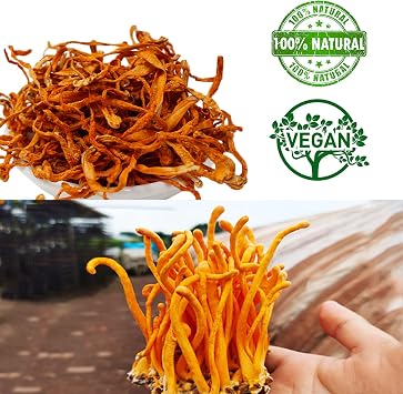 16OZ Cordyceps Flower, 100% Natural Dried Cordyceps Mushroom Supports Energy Immune Function for Soup/Cooking/Cooling/Tea