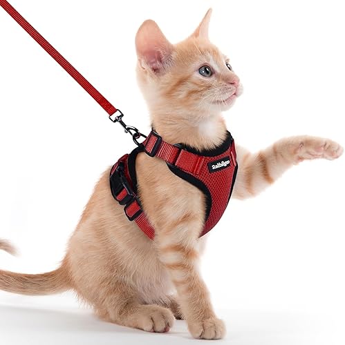 Miniatura 86 de rabbitgoo Cat Harness and Leash for Walking, Escape Proof Soft Adjustable Vest Harnesses for Cats, Easy Control Breathable Reflective Strips Jacket