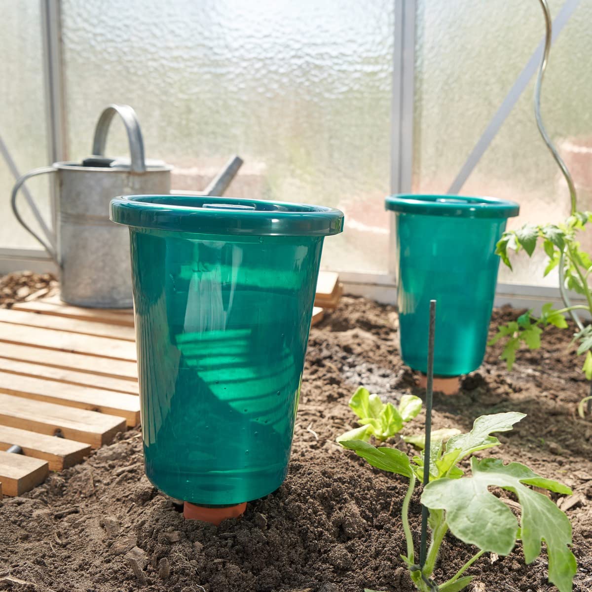 Bio Green 4er-Set Bewässerungssystem für Hochbeete Hydro Cup | konstante, gleichmäßige Wasserversorgung | verhindert Übergießen und Austrocknen | Set aus 4 Tonkegeln und 4 Becheraufsätzen | 2,5 Liter
