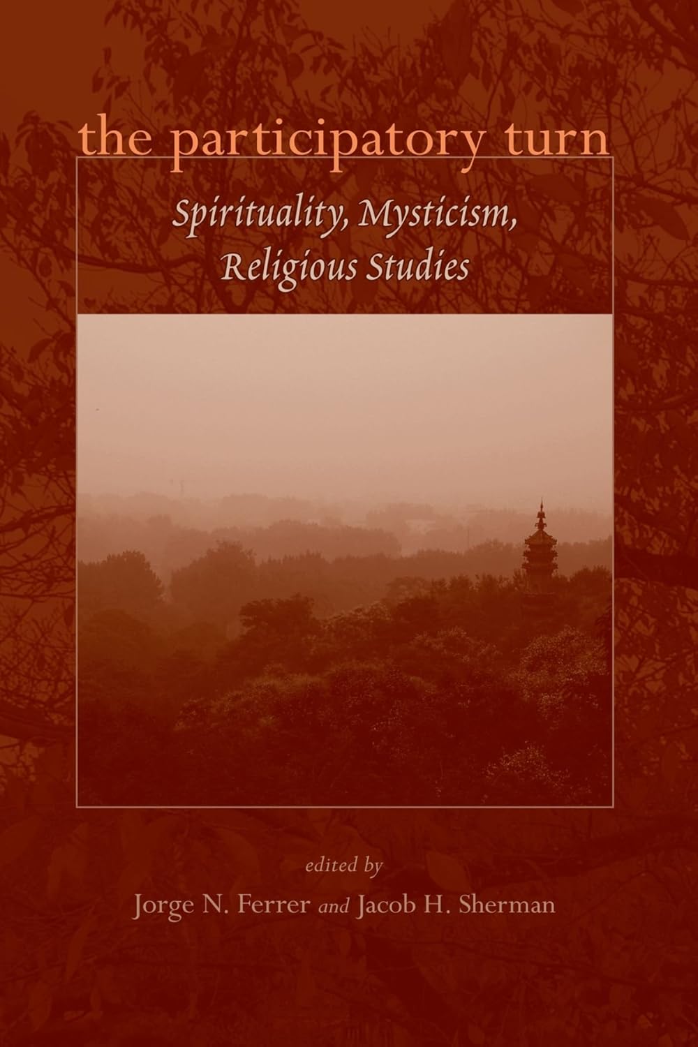 The Participatory Turn: Spirituality, Mysticism, Religious Studies      Paperback – Illustrated, July 1, 2009