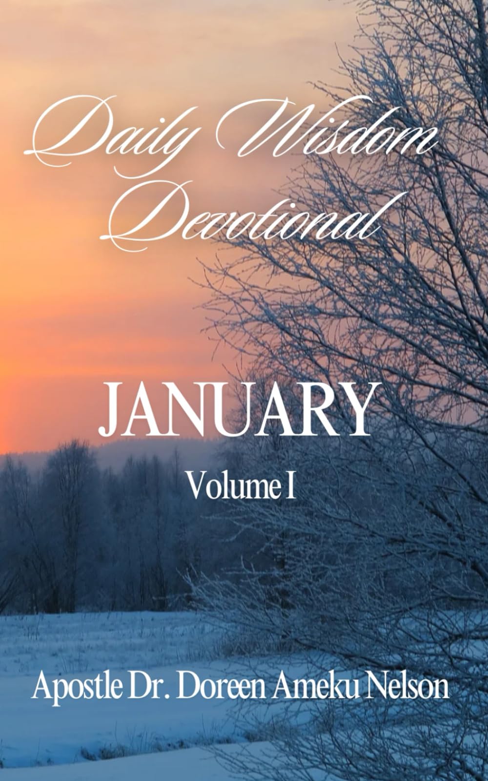Daily Wisdom Devotional Vol. I: JANUARY