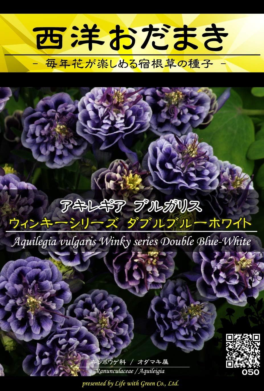 Amazon 種子 Prime Perennial Collection アキレギア ブルガリス 西洋おだまき ウィンキーシリーズ ダブルブルーホワイト Life With Green ハーブ
