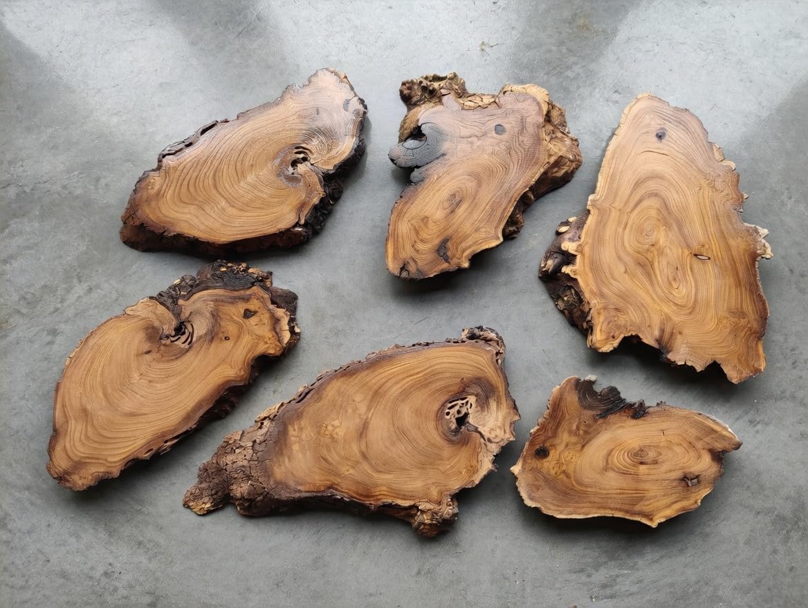 Burl Wood Live Edge Wild Olive Wood Slab Set with 6pcs for Epoxy Projects (Natural)