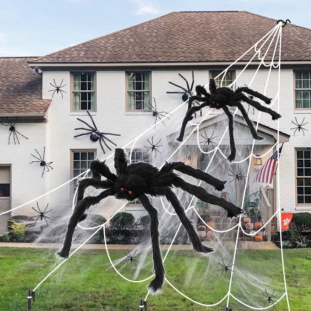 Buy Halloween Fake Spider and , Two Realistic Looking Hairy Spiders