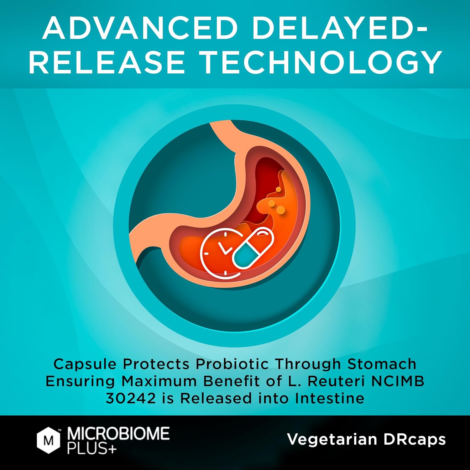 Microbiome Plus Gastrointestinal Probiotics L Reuteri NCIMB 30242 GI Digestive Supplements Capsule, Allergy Safe & Gluten Free for Men and Women (1 Month Supply) - Image 7