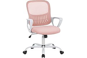 SMUG Cute Rolling Chair: Comfort and Style Combined