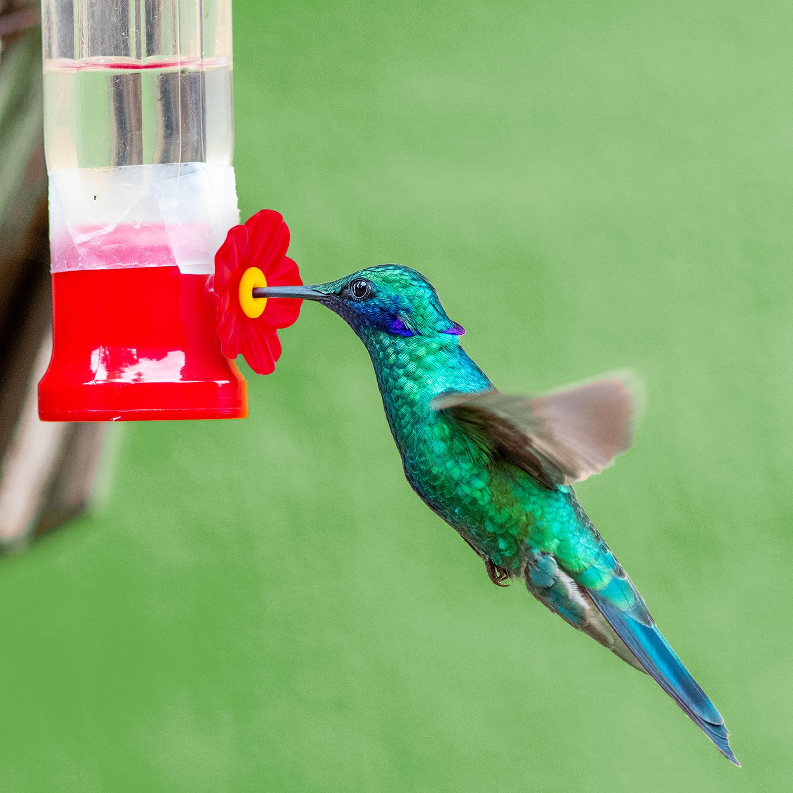 Amazon.com : 20pcs Hummingbird Feeder Replacement Flowers with 2