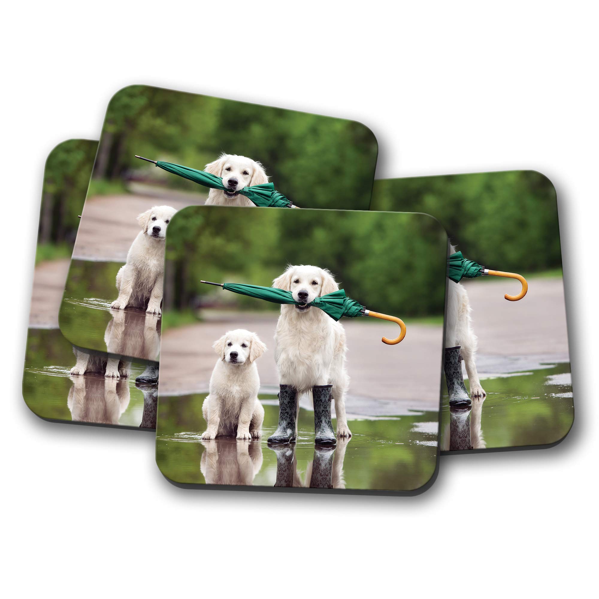 Destination Vinyl Ltd Multicolor 4 Set - Funny Golden Retriever Coaster - Dog Puppy Cute Joke Animals #15644