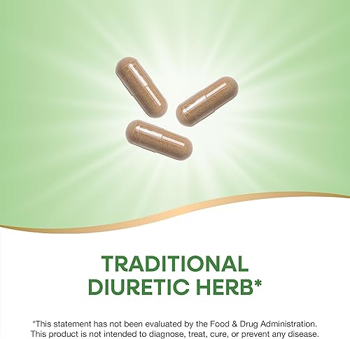 Miniatura 9 de Natures Way - Raíz de diente de león 525 mg002 pulgadas 15336 1