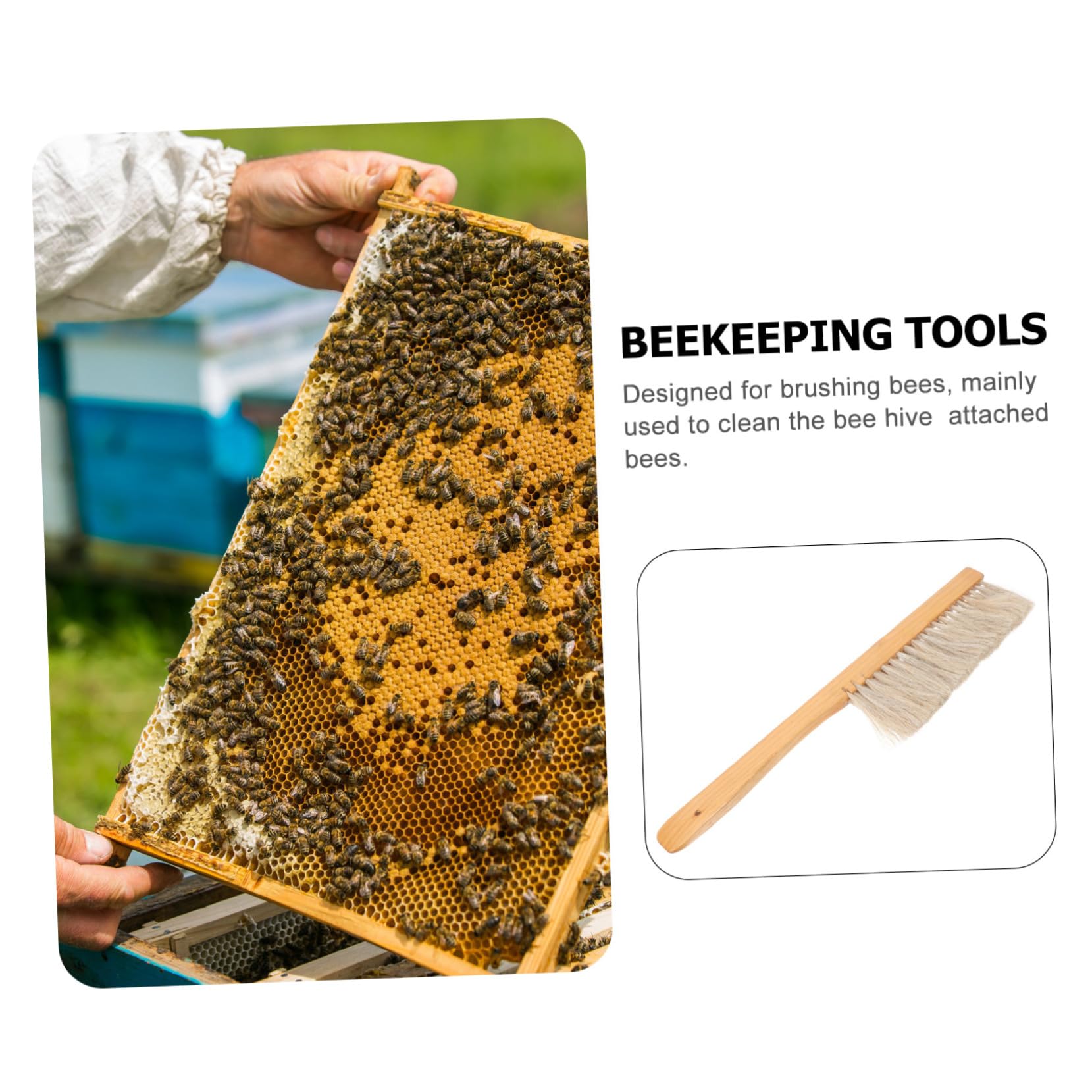 BESPORTBLE 3pezzi Per Apicoltura Setole Morbide e Strumento Portatile Per Apicoltori Utensile Per La e Abbigliamento Attrezzatura Resistente e