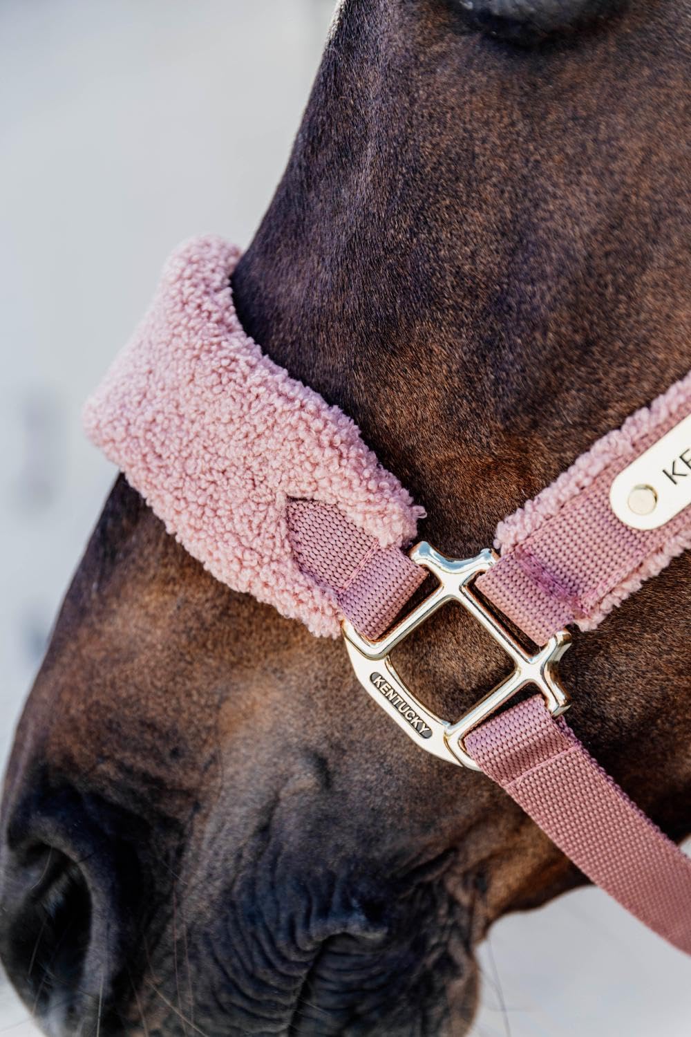 Kentucky - Teddy Fleece Halfter alt rosa Pony