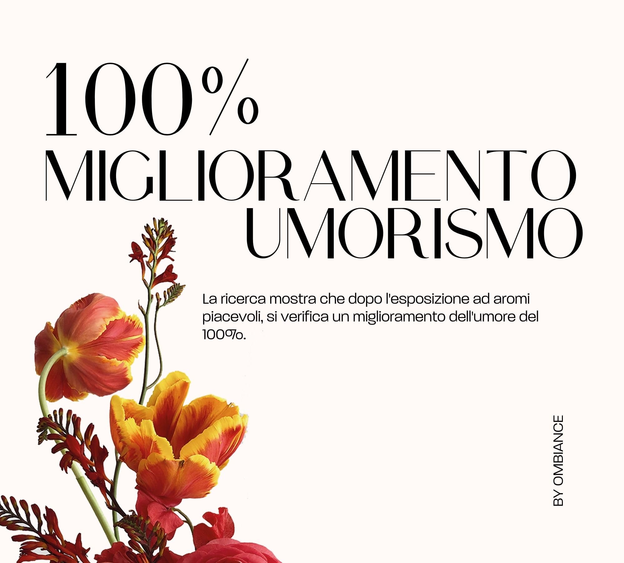Diffusore di Oli Essenziali Elettrico Professionale - Diffusore di Fragranze per Ambienti | Deodorante per Ambienti | Aromaterapia per Spazi Grandi, Negozio, Hotel 1000m³