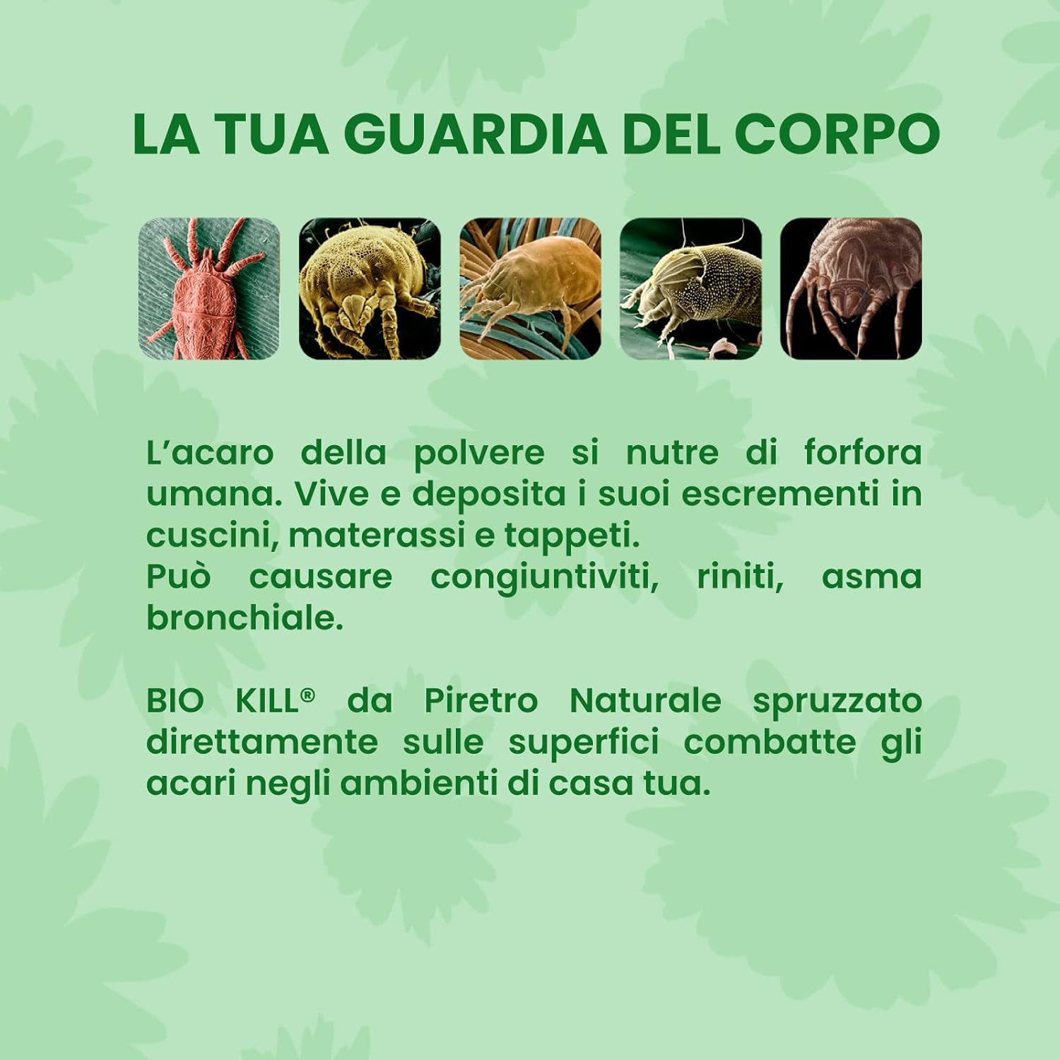 BIOKILL Insetticida Acaricida Microincapsulato No Gas, Ideale per Interni ed Esterni, Inodore e Non Macchia, Resiste a Umidità e Raggi Solari, 375ml + OMAGGIO 100pz Guanti HDPE Monouso (4 Flaconi)