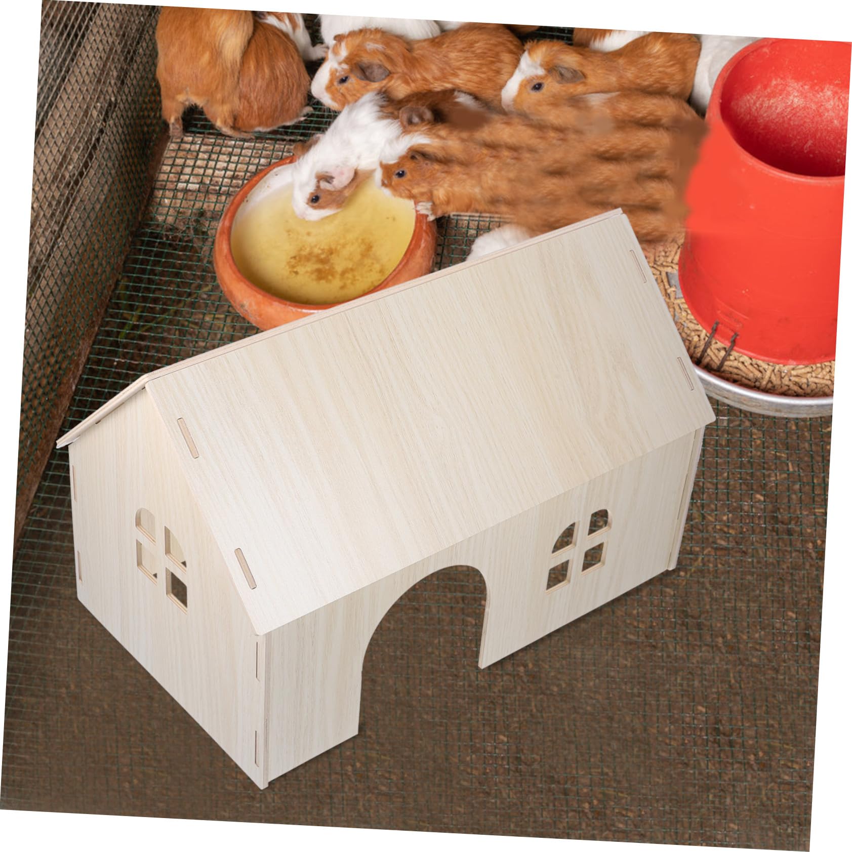 NOLITOY Meerschweinchen Holzhaus aus Naturholz Großes Tierversteck mit Klettermöglichkeiten Spielhaus für Eichhörnchen und Kleintiere Haustier Spielzubehör für Meerschweinchen und Hamster