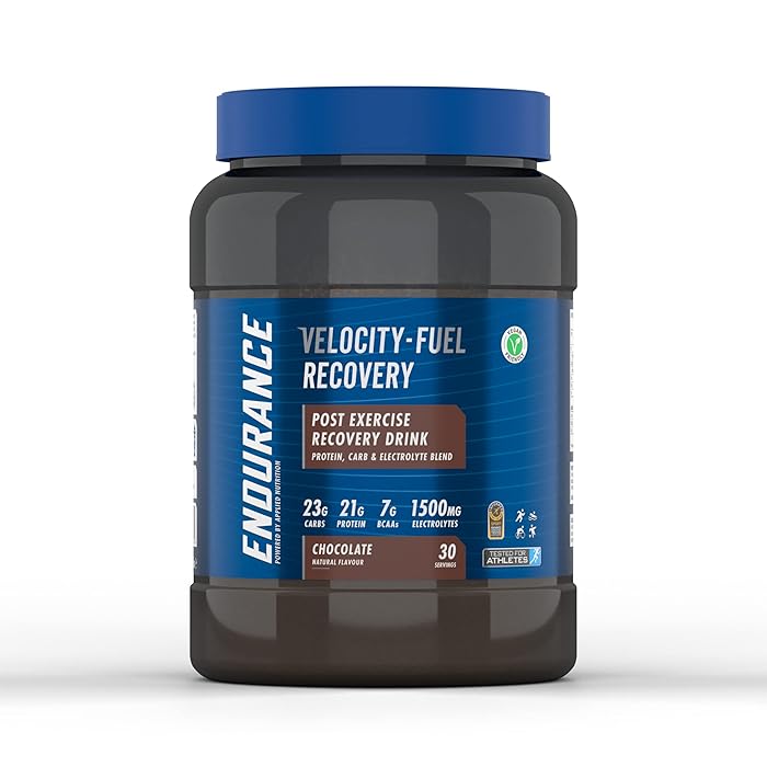 Buy Endurance Post Exercise Recovery Protein Energy Drink Powder with