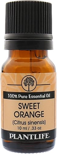 Vista 35 de Plantlife Aceite esencial de aromaterapia de alcaravea, directamente de la planta, 100% puro, grado terapéutico, sin aditivos ni rellenos, 0.3 fl oz