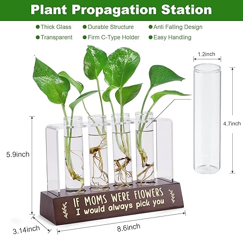 Miniatura 3 de Regalos para mamá de hija hijo, terrarios de maceta, agradecimiento, regalos de agradecimiento para madre, los mejores regalos para cumpleaños,