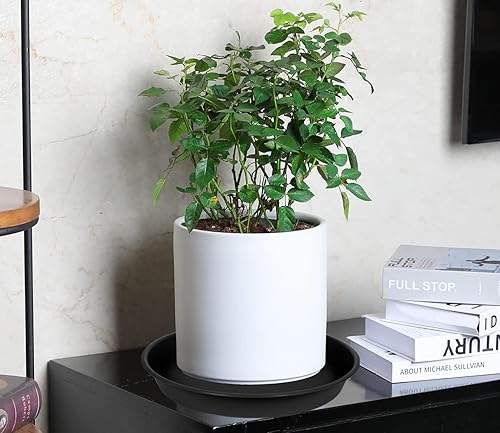 Miniatura 10 de Platillo para plantas de 16 pulgadas (base de 13.5 pulgadas), 4 paquetes de 15 platillos para plantas, bandejas de plástico resistente para