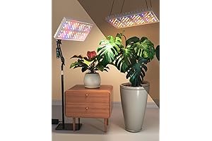 Sunflower LEC 315 Grow Light - The Plant's Best Partner