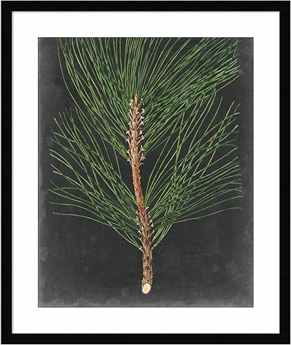 Miniatura 18 de Amanti Art Impresión artística enmarcada para pared, 44 x 36 pulgadas, dramático pino I de Vision Studio, arte de pared de naturaleza, decoración