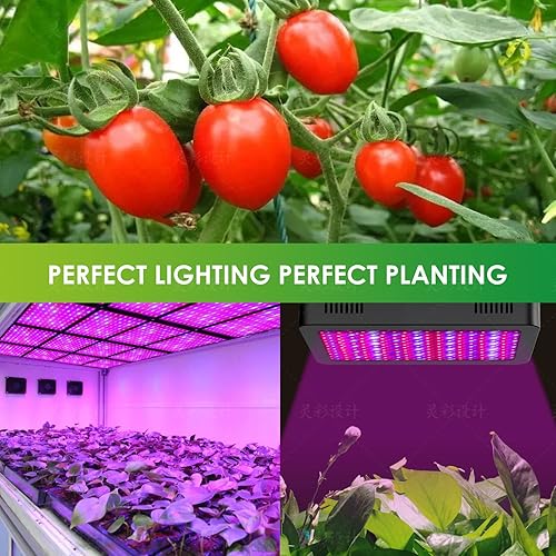 Miniatura 7 de Luz LED de crecimiento de 2000 W, luz de espectro completo para plantas con cadena de margarita, luces de cultivo para plantas de interior, lámparas