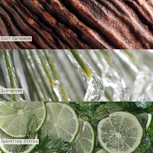 Miniatura 3 de ILLUME Vela de lata de tocador, blanco invierno, Signature 11.8 oz.