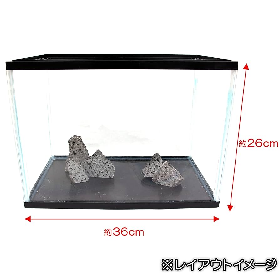 ｔａｋａ　溶岩石 V 　インテリア　水槽 taka 溶岩石 V インテリア 水槽 溶岩石通販】アクアリウム用
