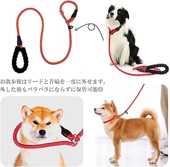 Amazon | ルナリ 犬用 スリップリード 引っ張り防止 リード 躾