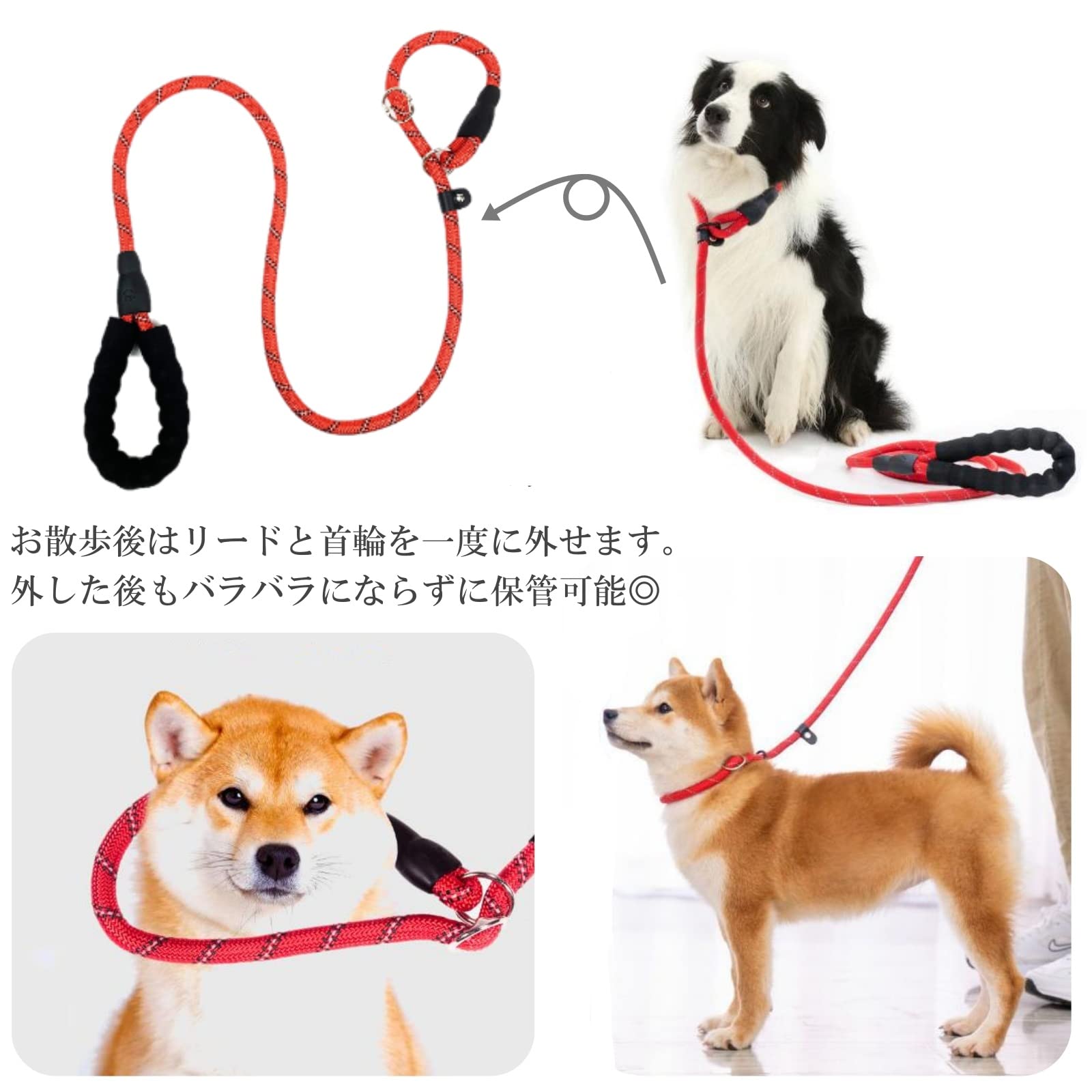 Amazon | ルナリ 犬用 スリップリード 引っ張り防止 リード 躾 訓練 お
