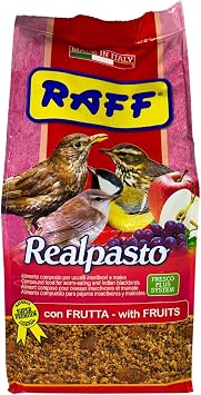 RAFF Realpasto Natural Bird Food 1kg - Premium Nutrition with Fruits Compound for Worm-eating and Indian Blackbirds, Formulated to Stimulate Singing & Support Vibrant Plumage Color