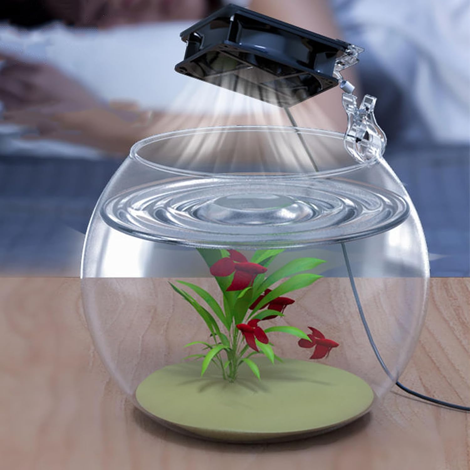 Aquarium Fish Tanks Cooling Fan Systems Chiller Control Reduce Water Temperature Set Coolers Aquarium