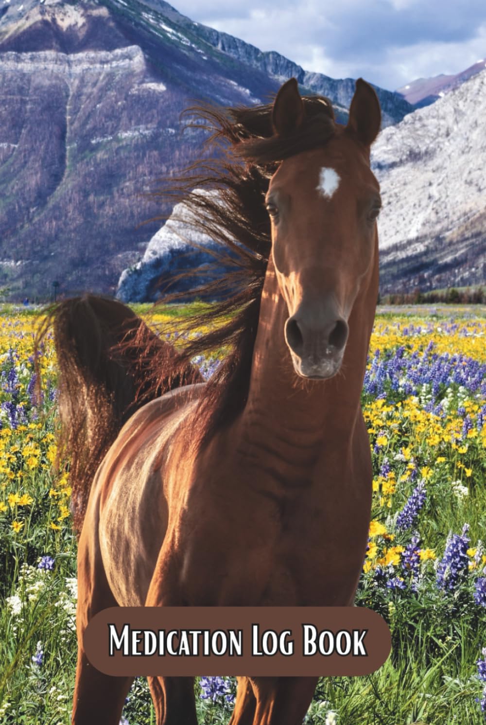 Medication Log Book: Beautiful Horses Every Page, Large Print, And 104 Weeks Of Log Pages Make This A Great Way To Track Daily Medicines (Color Edition)