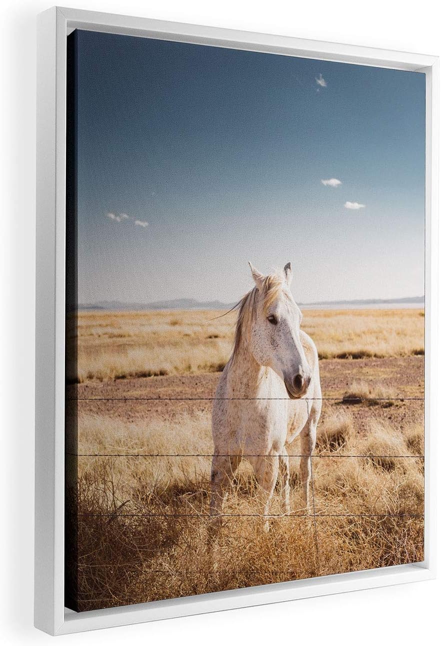 Deny Designs Bethany Young West Texas Wild Ii White Framed Art Canvas, 24" x 30", Brown