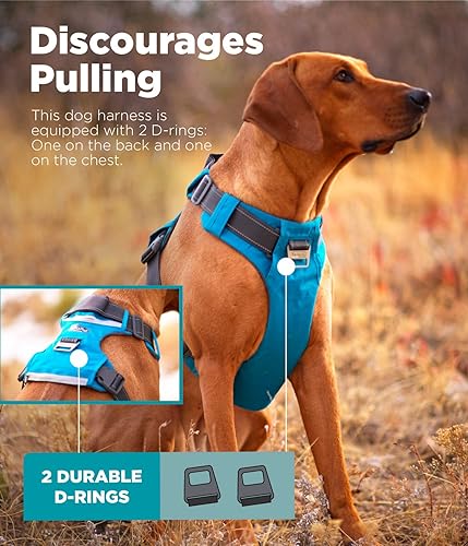 Vista 3 de Outward Hound Boulder Adventure - Arnés ajustable para perro con bolsillos, turquesa, mediano