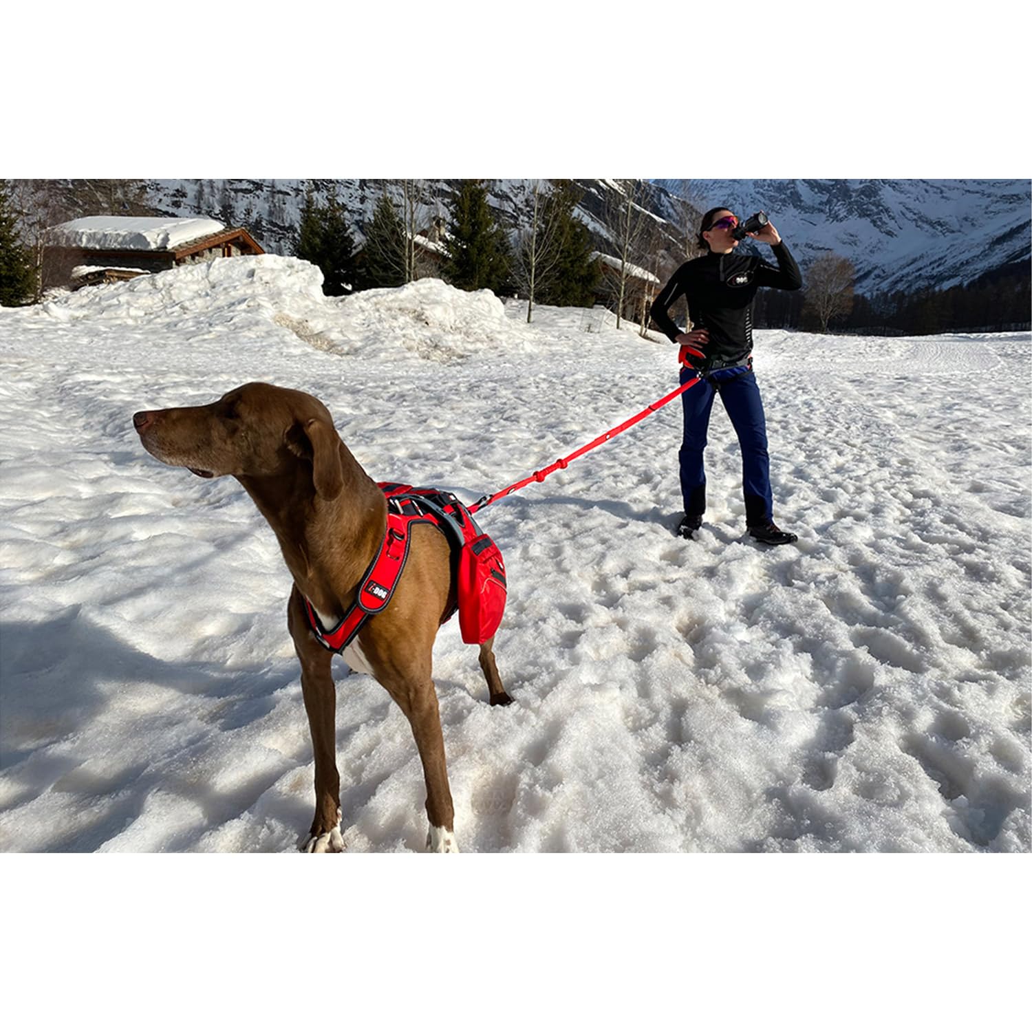 Canicross/Canirando Comfort Trek, Guinzaglio, colore: rosso