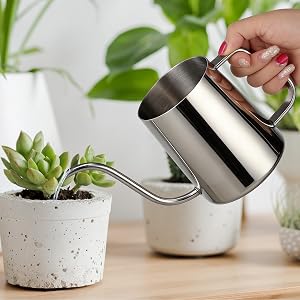 Small Watering Can for Indoor Plants - 20 oz Mini Indoor Watering Can with Long Spout Gooseneck Rust-Proof Stainless Steel Tiny Watering Kettle for Small Plants