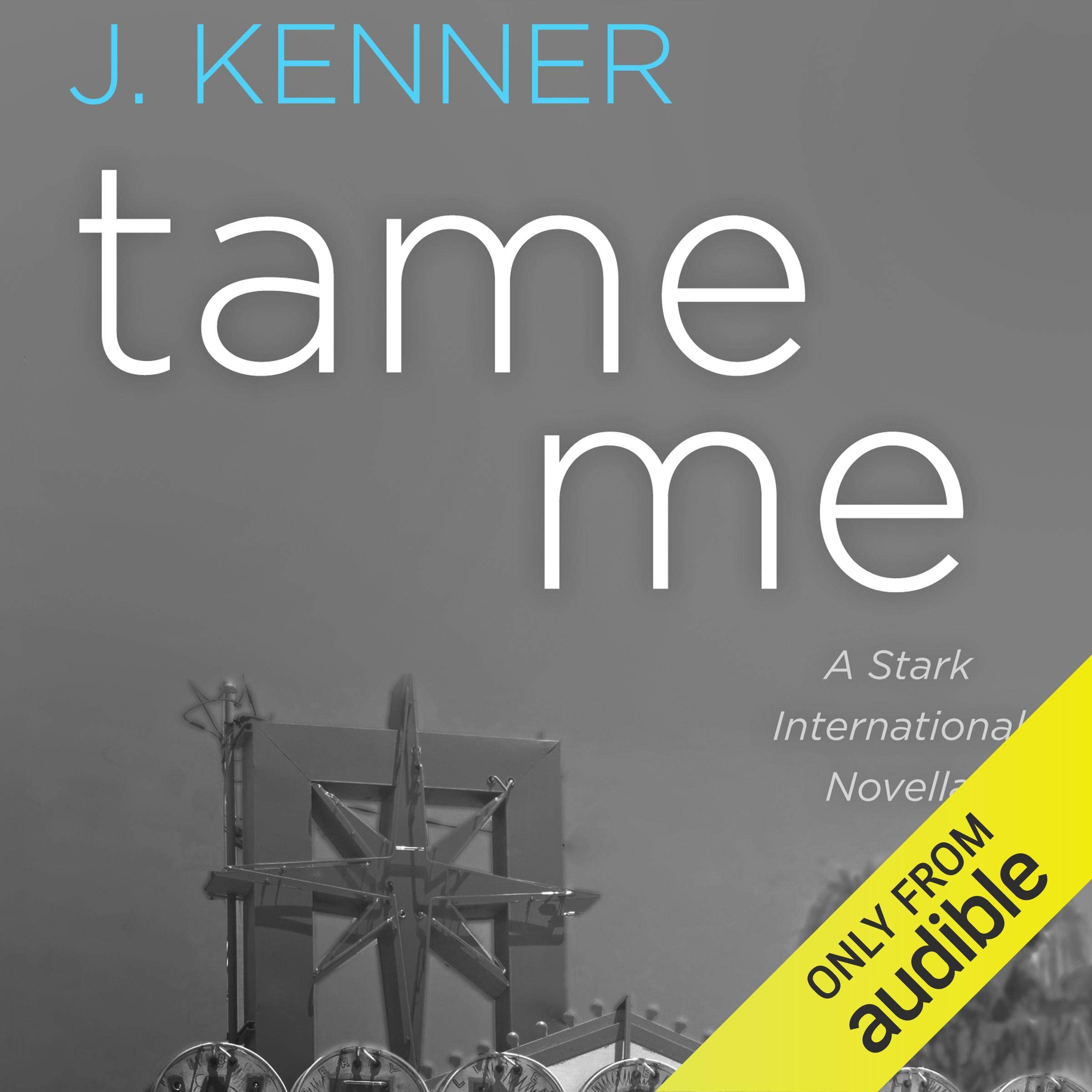 Cover art for Tame Me