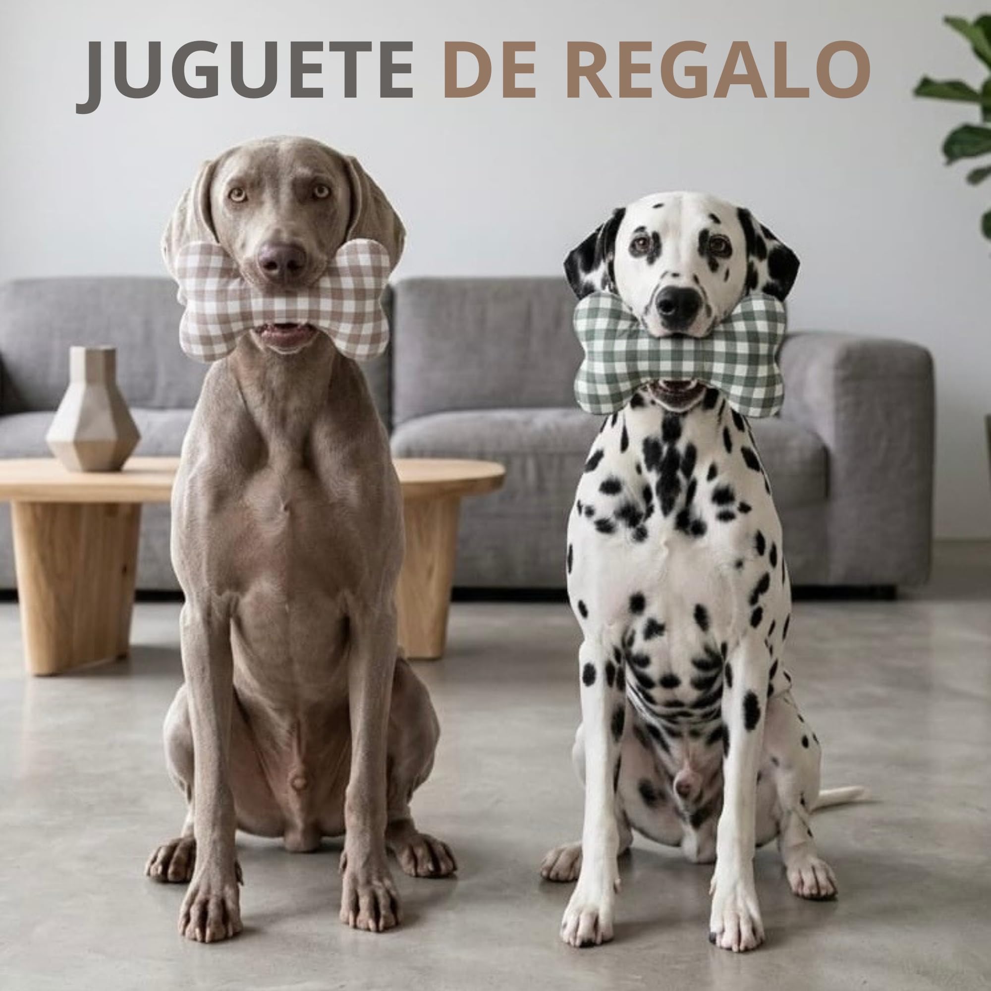 PESK Cama Perro Pequeño 57x47x15cm con Hueso de Juguete, Acolchada Relleno de Fibras, Cama Perros Medianos Lavable, Resistente Mordeduras, Camas Perros Medianos Antideslizante, Dog Bed (Beige Talla S)