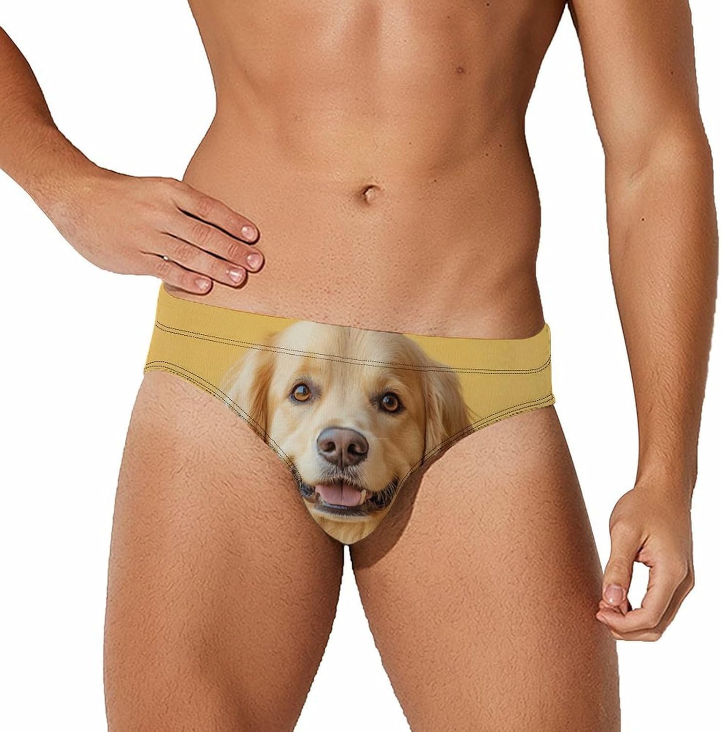 Retriever Dog Men's Swimsuit Brief Sexy Bikini Briefs Retro Printed Swimwear Quick Dry Swimming Trunks 3X-Large