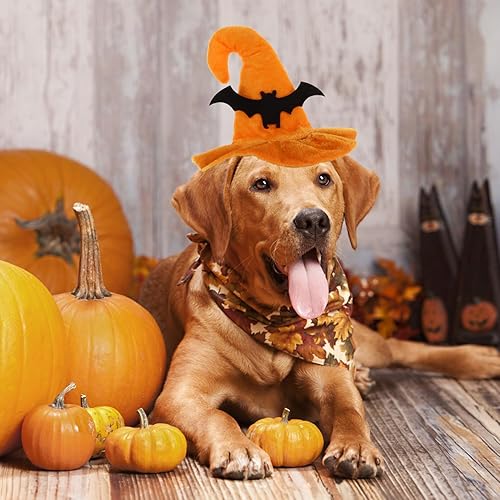 Miniatura 4 de 2 piezas de sombrero para mascotas, disfraz de araña, para baile de graduación, mini disfraz de Halloween, disfraz de perro, sombrero de calabaza