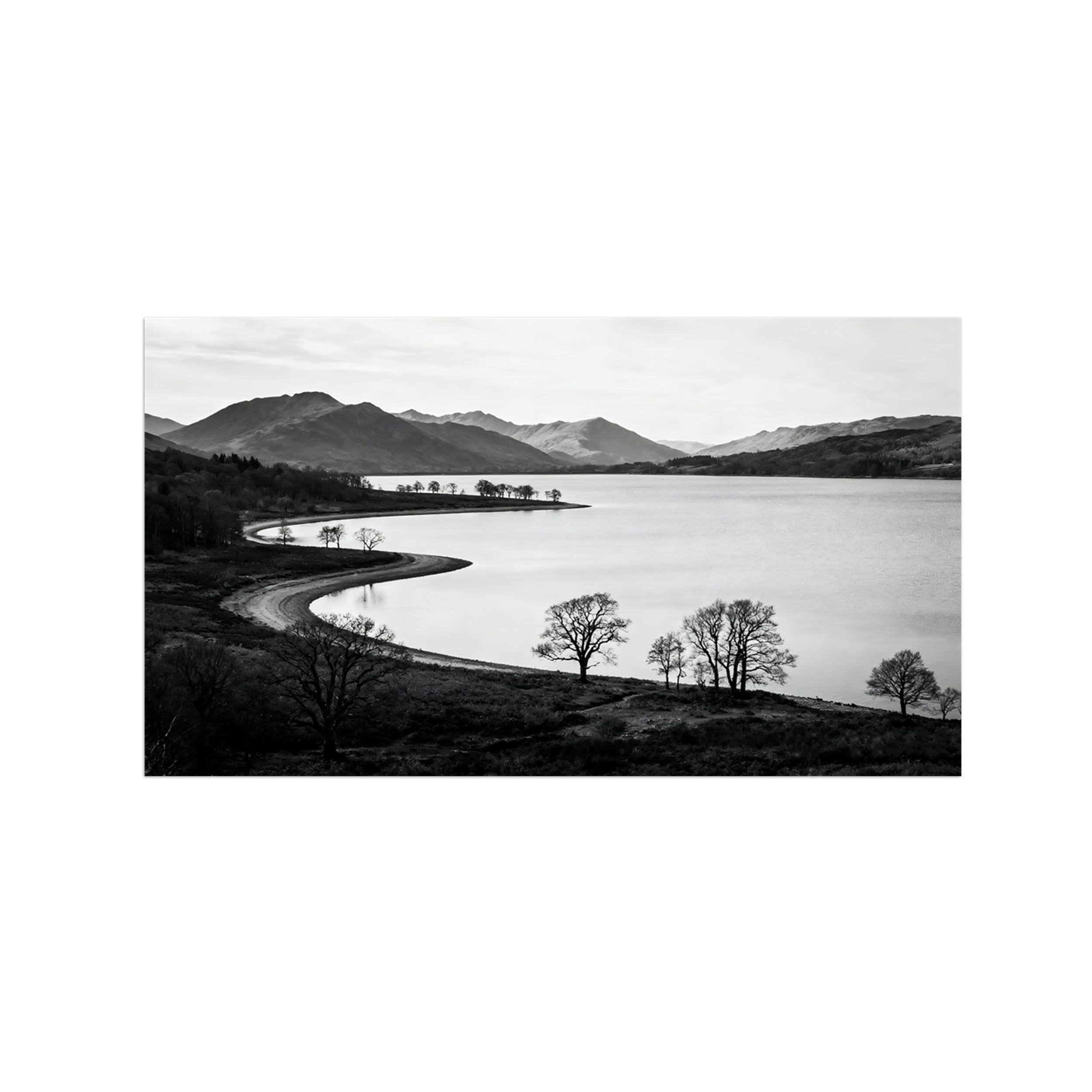 Lake Tree No.6 Black White Landscape Wall Art Prints 40x70cm Unframed